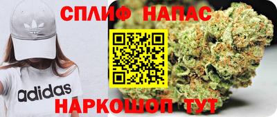гашик Краснодар